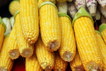 Sweet corn in the market