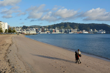 Oriental bay in Wellington New Zealand © Rafael Ben-Ari