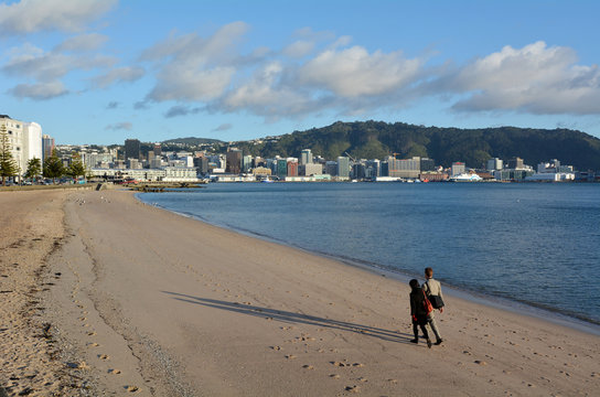 Oriental bay in Wellington New Zealand