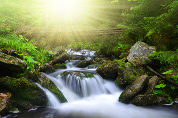 Waterfall in the national park Sumava-Czech Republic