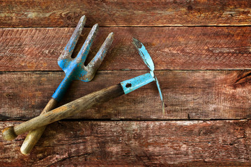 Garden tools on a wooden plank floor