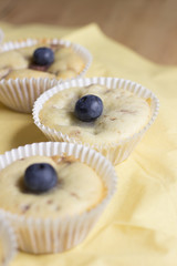 Blaubeer - Muffins