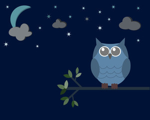 Owl in the night time