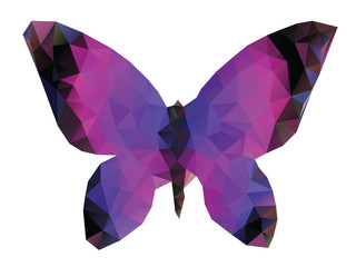 Polygonal Butterfly