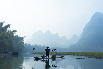 Cormorant, fish man and Li River scenery sight with fog in sprin