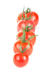 tomatoes constructed in a row isolated on white background