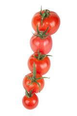 tomatoes constructed in a row isolated on white background