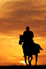 Fototapeta na wymiar Horses at sunset