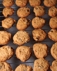 Cashew nut cookies on steel grid after bake in oven