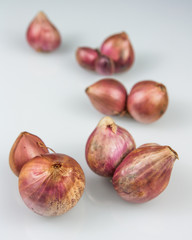Shallots a useful spices for cooking isolated on white.