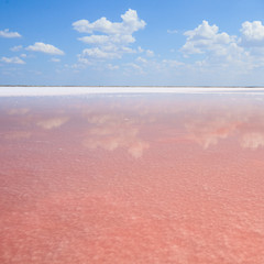 Pink salt lake, where salt is mined for food.