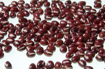 小豆_アズキ_あずき_000