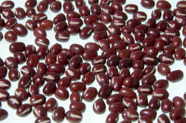 小豆_アズキ_あずき_002