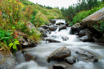 Fototapeta premium Spring river