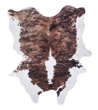 Cow hide isolated