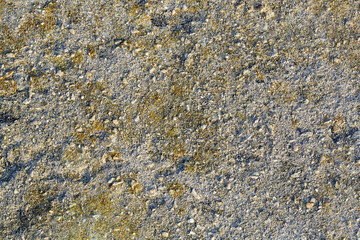 Texture di Pietra con sfumature