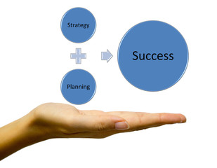 Strategy plan to be successful in  business