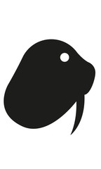 Seelöwe Kopf Profil