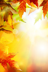 Naklejka na ściany i meble Art abstract autumn background