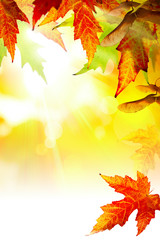 Naklejka na ściany i meble Art abstract Autumn background with leaves