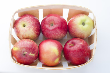 Freshly harvested apples