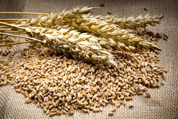 Wheat and corn