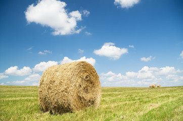 Bales of hay in a large field.