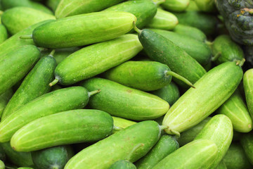 Fresh cucumber in the market