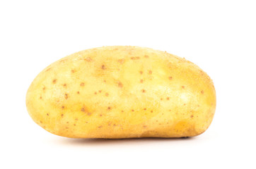 Potato