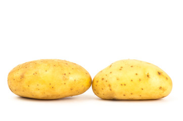 Potato