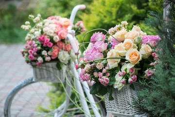 Beauty of roses