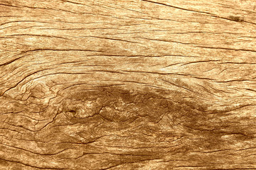 Wood background