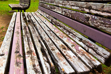 Old two benches in an urban park