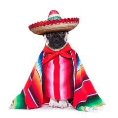 Stickers pour porte Chien fou mexican dog