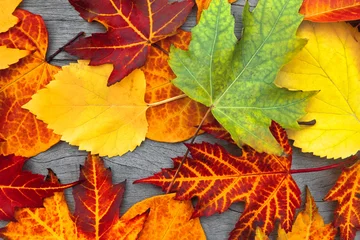 Foto op Plexiglas Herfst Abstract background of autumn leaves.
