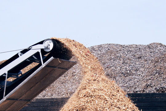 conveyor poring sawdust