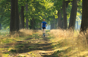 Obraz premium Man trailrunning in a lane of tree's on a sunny morning.