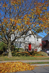 house with falling leaves in autumn