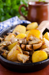 Potatoes with mushrooms