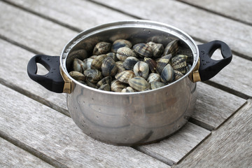 Coques dans casserole