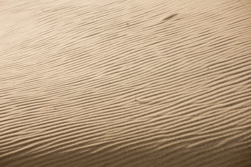 sand ripples texture
