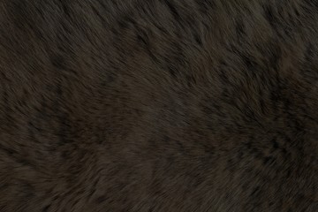 Fur Animal Textures, Bear black