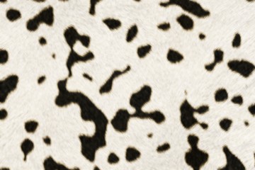 Fur Animal Textures, Dalmatin small