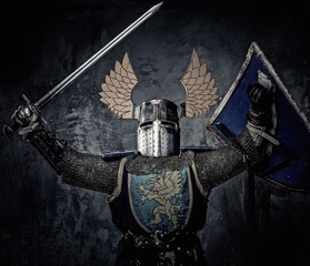 Medieval knight with sword and shield against stone wall