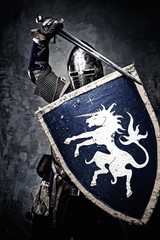 Medieval knight against stone wall