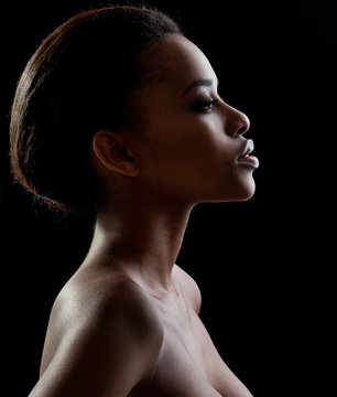 Beautiful  African-American woman. Black Beauty