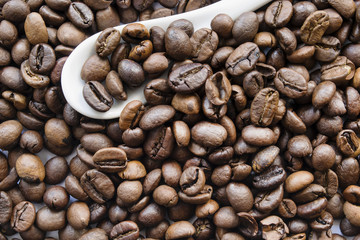 Fototapeta premium Coffee beans