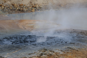 Terre vivante islandaise