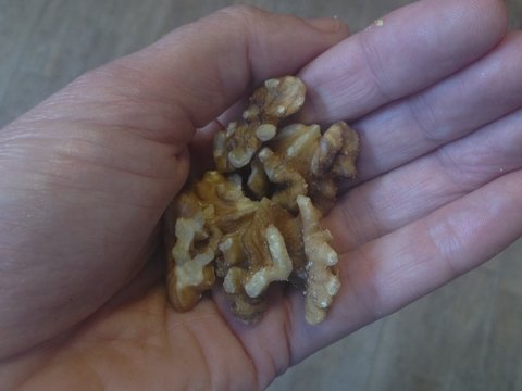 handfull of wallnuts