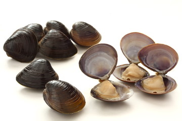 しじみ　中身　貝　食材